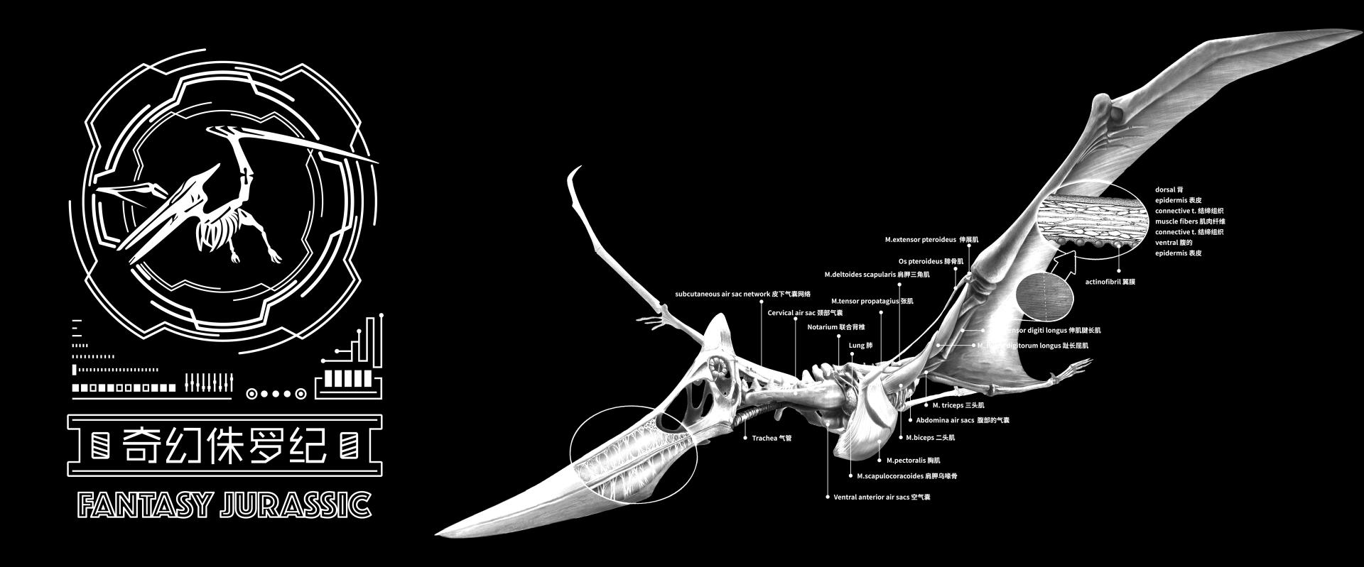 TBRA Brand Winner - Northeast Normal University information 2