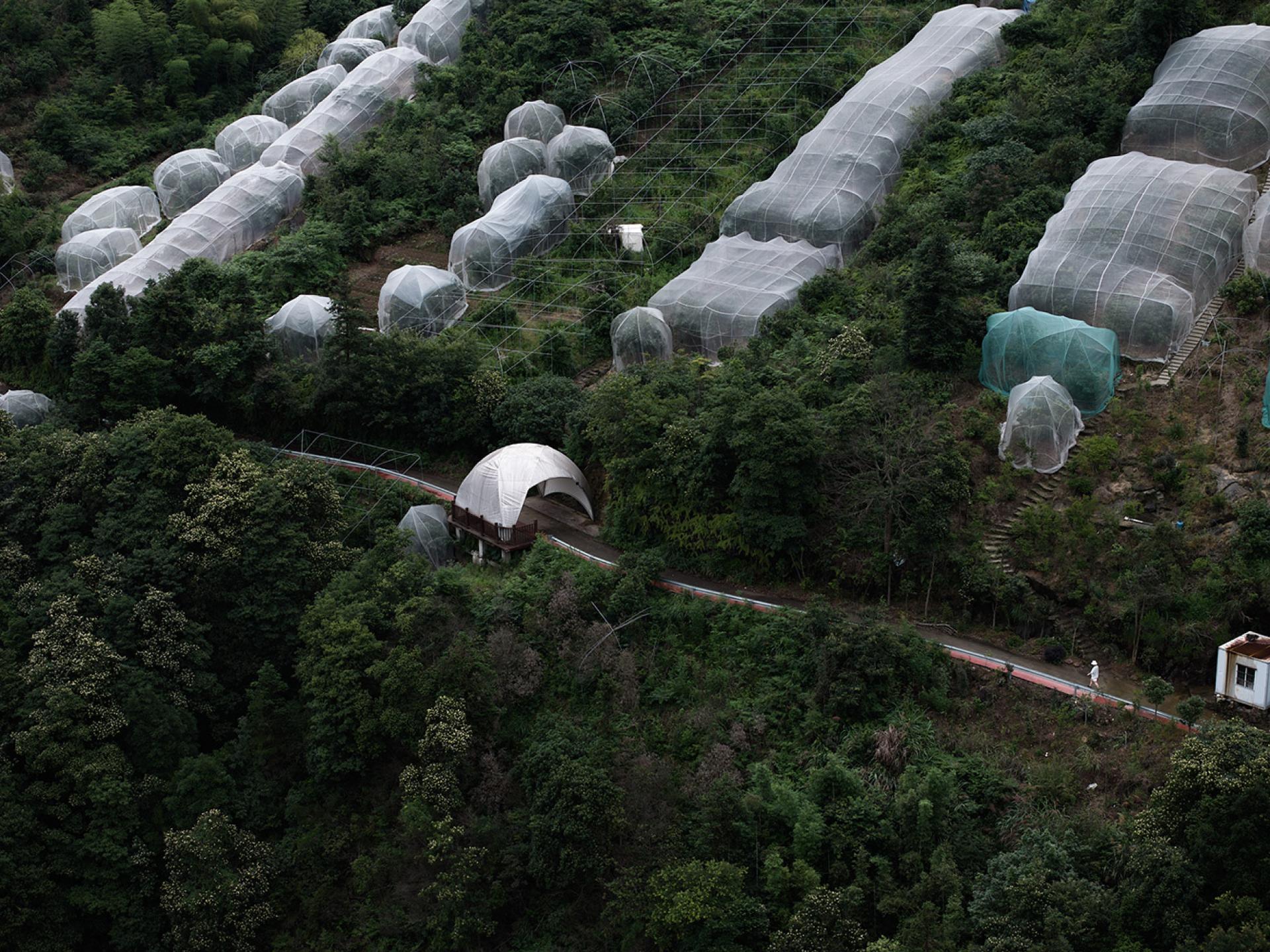 TBRA Brand Winner - ArchiDogs information 1