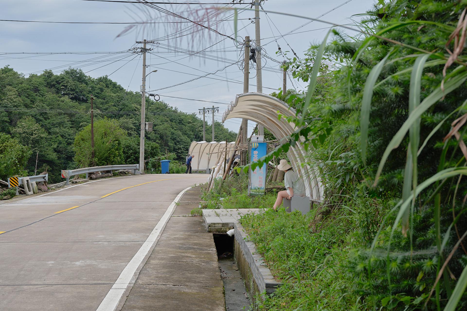 TBRA Brand Winner - ArchiDogs information 5