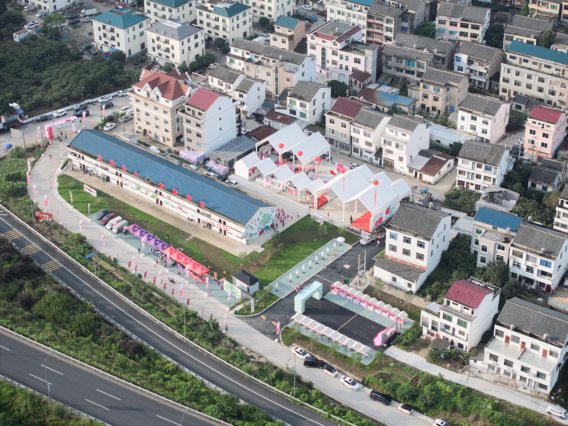 TBRA Brand Winner - ArchiDogs information 3