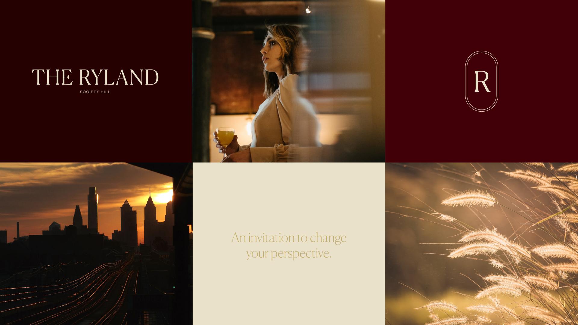 TBRA Brand Winner - Shimahara Visual information 1