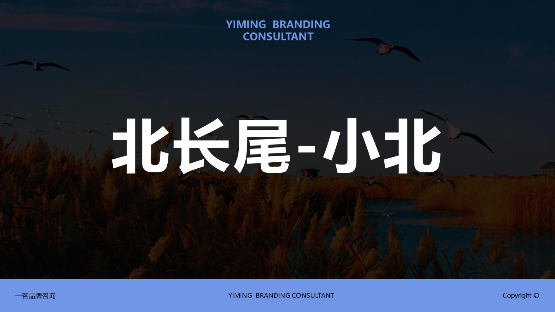 TBRA Brand Winner - Hangzhou Yiming Brand Design Co., Ltd. information 7