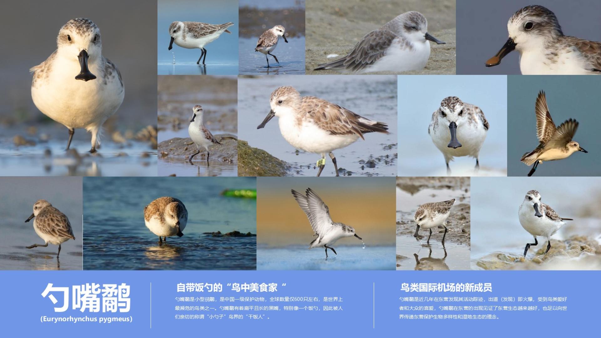 TBRA Brand Winner - Hangzhou Yiming Brand Design Co., Ltd. information 9