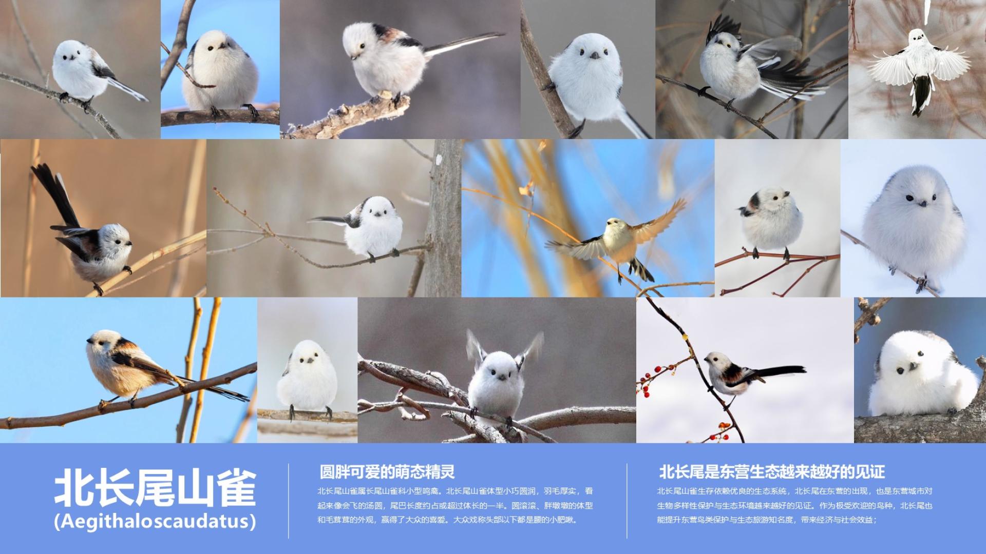 TBRA Brand Winner - Hangzhou Yiming Brand Design Co., Ltd. information 8