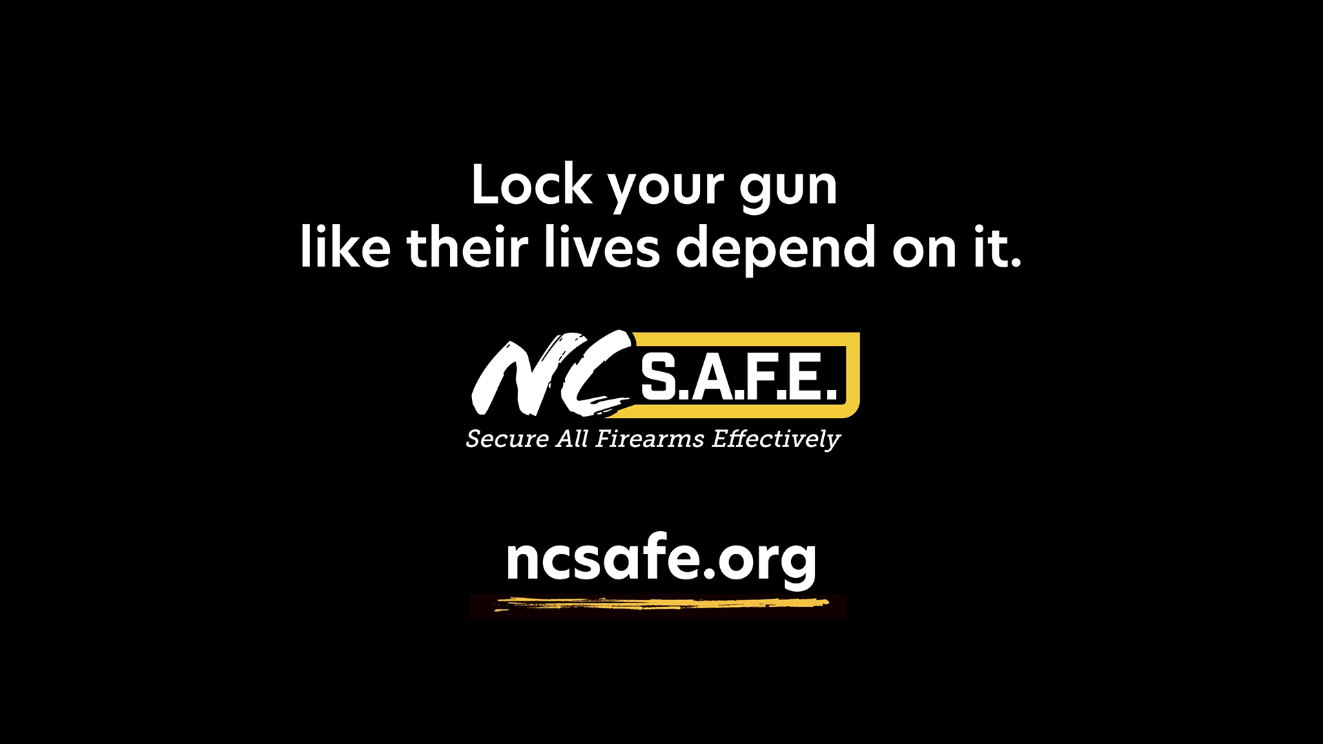 TBRA Brand Winner - NC S.A.F.E (Secure All Firearms Effectively) information 1