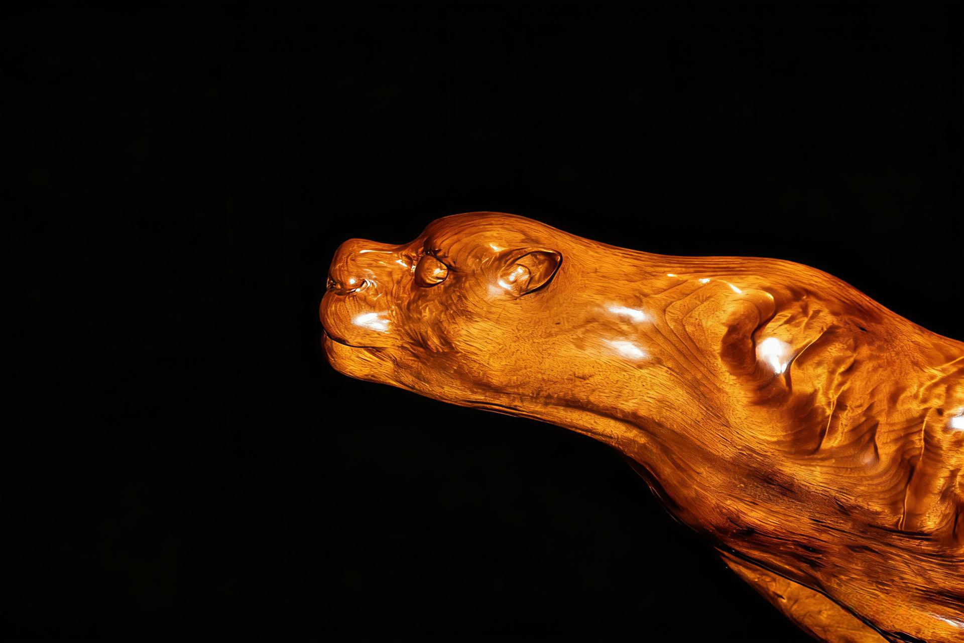 TBRA Brand Winner - Chunhu Wei / Sichuan Hemu Culture Communication Co., Ltd. information 4