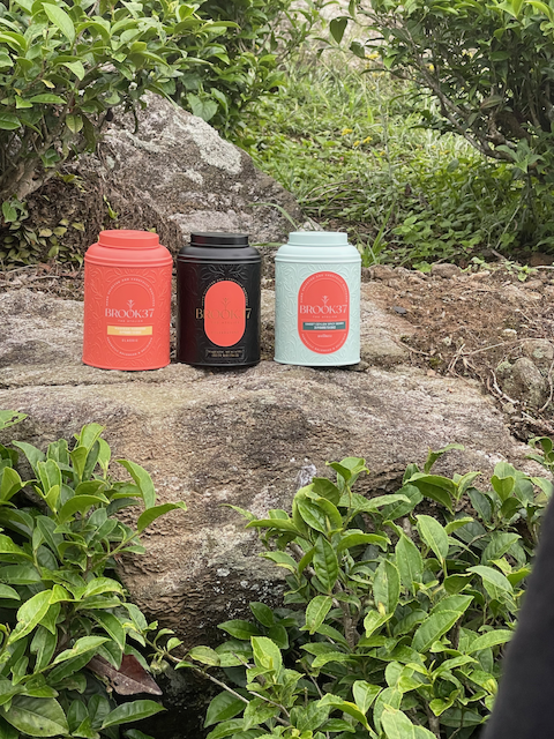 TBRA Brand Winner - Brook37 The Atelier information 3