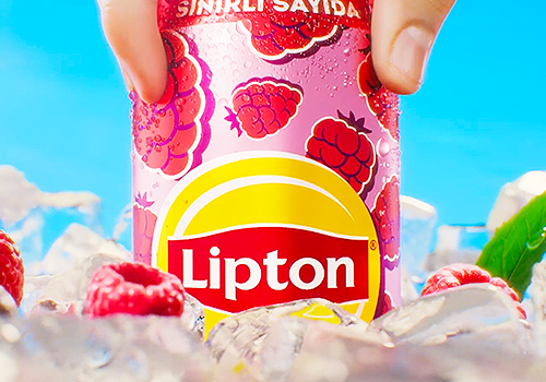 Titan Brand Winner - Chuck Studios